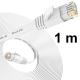 Cat6 Ethernet 1m Cable, White